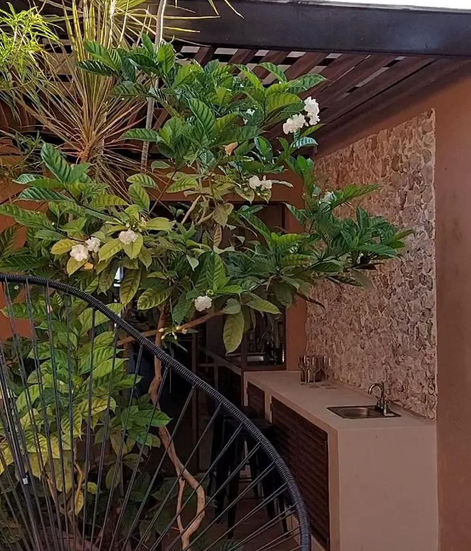 Casa Maria Dolores, Barrio San Sebastian Mérida Mexico